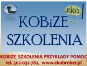 Szkolenie z raportu Kobize 2016, tel 502-032-782, raport Kobize szkolenia