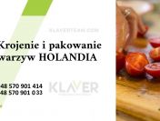 Praca na produkcji w Holandii- bez języka, wysokie wynagrodzenie